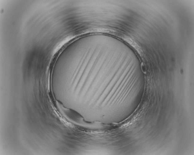 X0000087351127200705111613