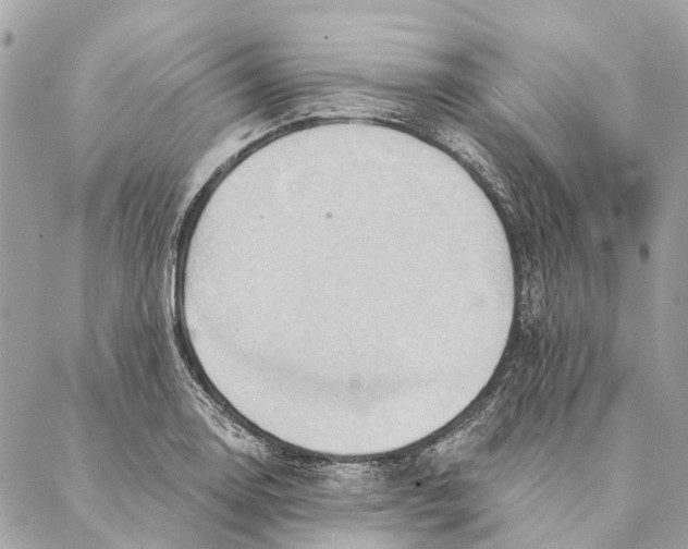 X0000087351130200705111613