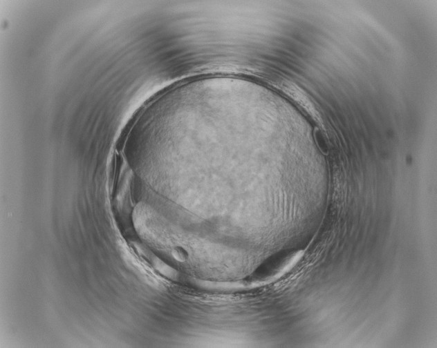 X0000087351132200705111613