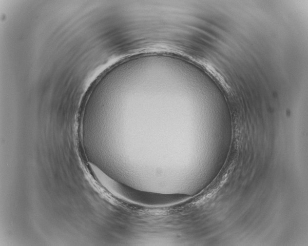 X0000087351134200705111613