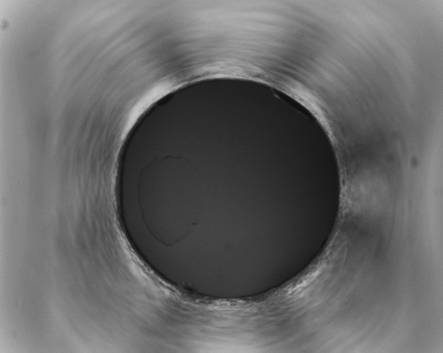 X0000087351146200705111613