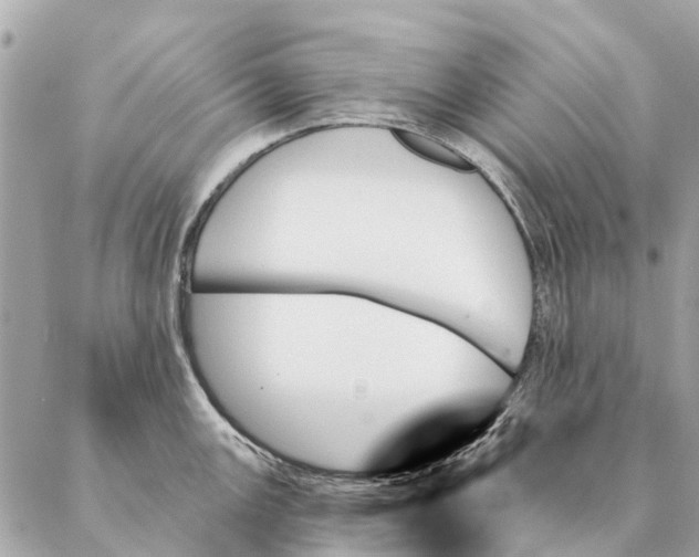 X0000087351147200705111613