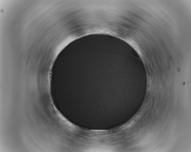 X0000087351151200705111613