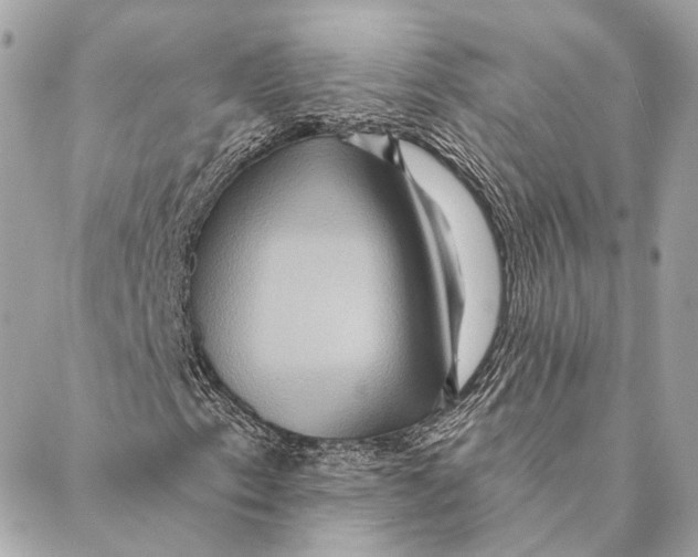 X0000087351153200705111613