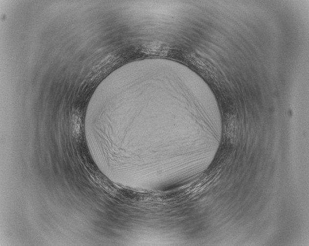 X0000087351154200705111613