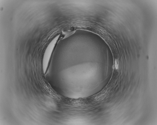 X0000087351155200705111613