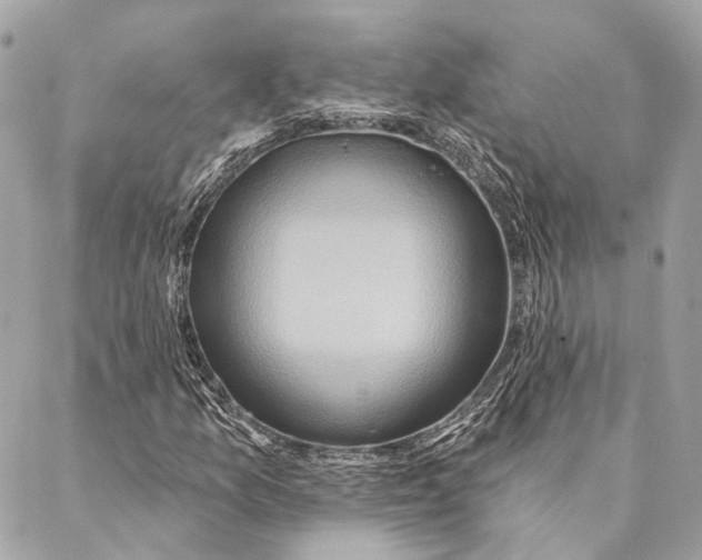 X0000087351157200705111613