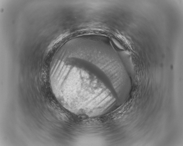 X0000087351159200705111613