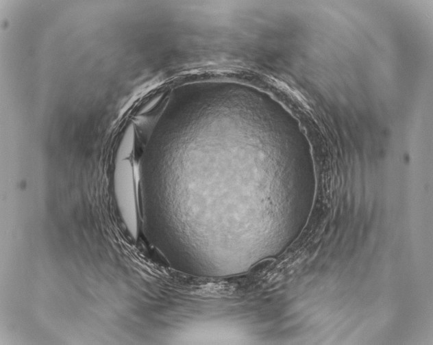 X0000087351160200705111612