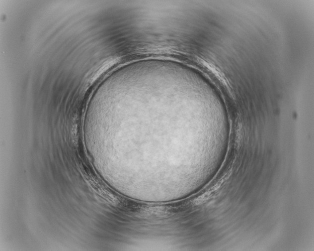 X0000087351162200705111612
