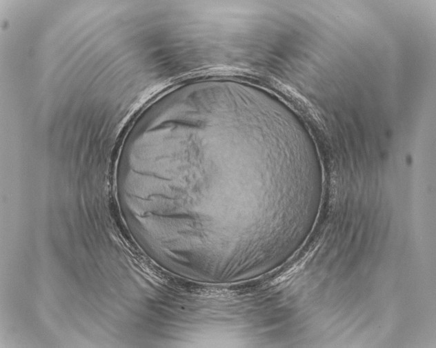 X0000087351170200705111612