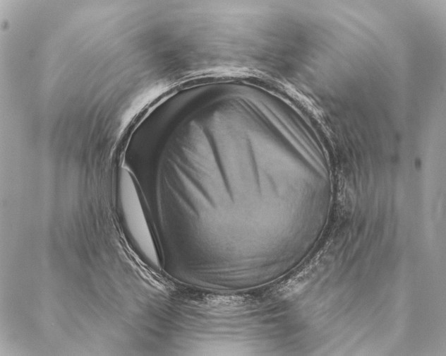 X0000087351171200705111612