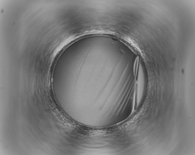 X0000087351173200705111612