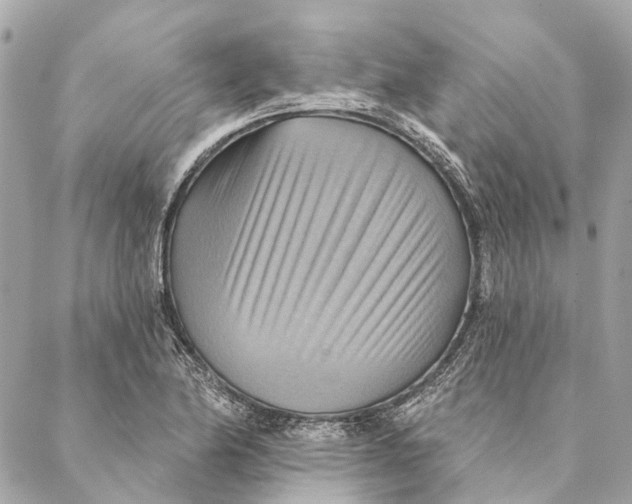 X0000087351174200705111612