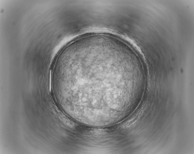 X0000087351175200705111612