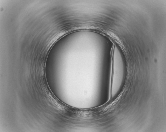 X0000087351177200705111612