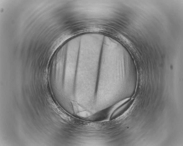 X0000087351178200705111612