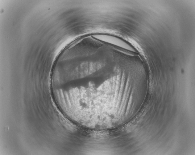 X0000087351183200705111612