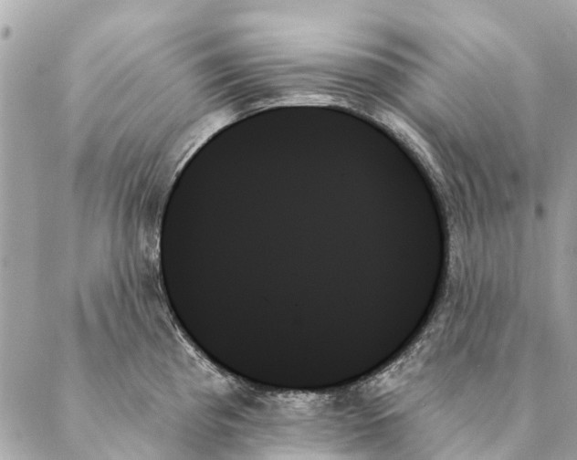 X0000087351193200705111612