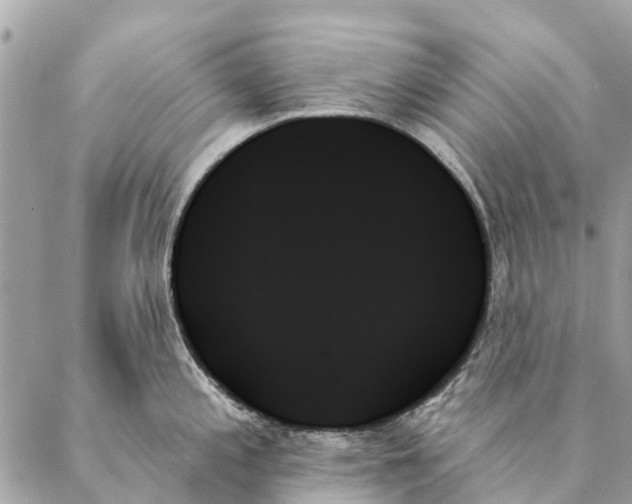 X0000087351197200705111612