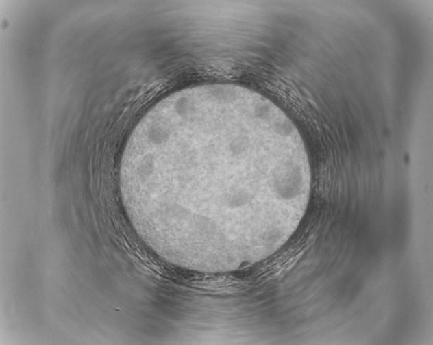 X0000087351201200705111611
