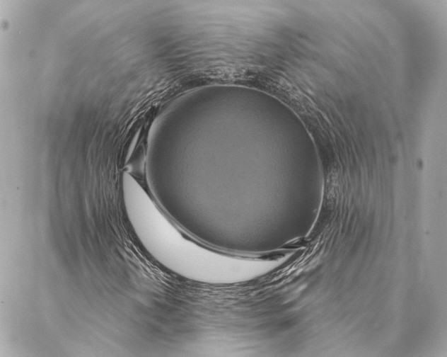 X0000087351202200705111611