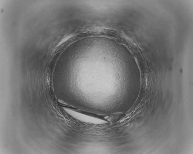X0000087351206200705111611