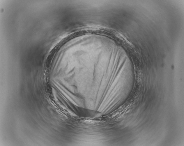 X0000087351208200705111611