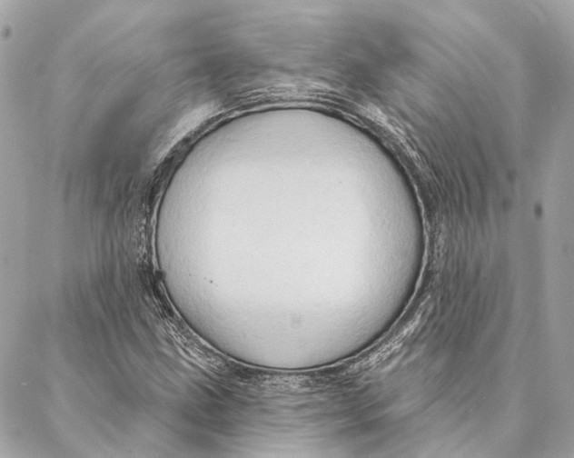 X0000087351211200705111611