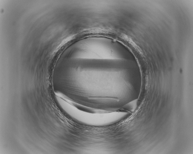 X0000087351213200705111611