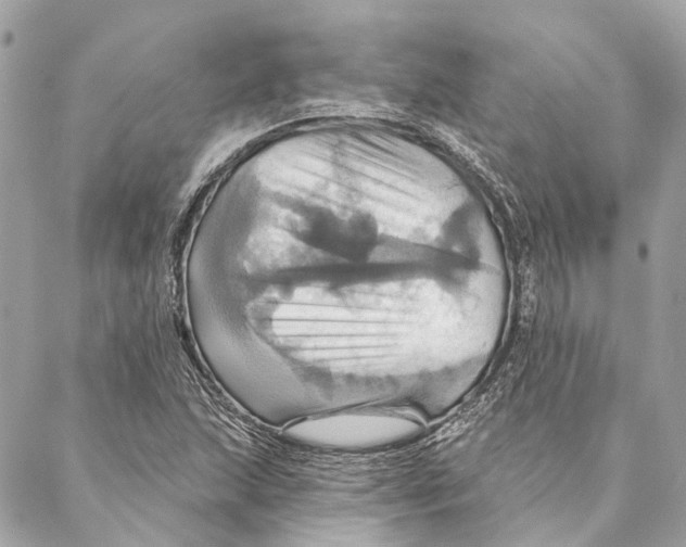 X0000087351215200705111611