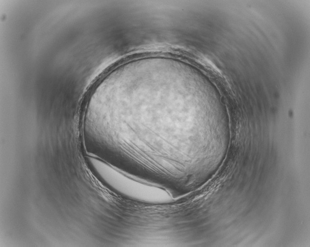 X0000087351216200705111611