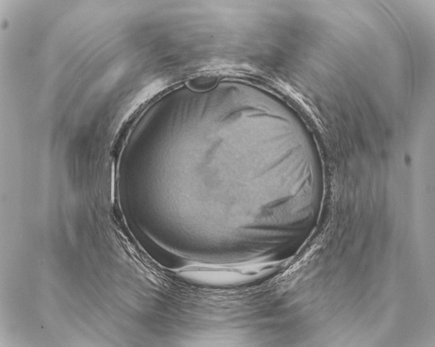 X0000087351219200705111611