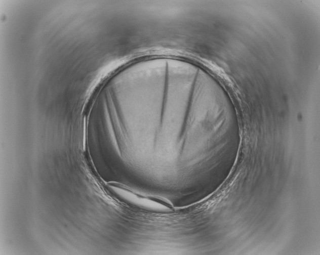 X0000087351223200705111611
