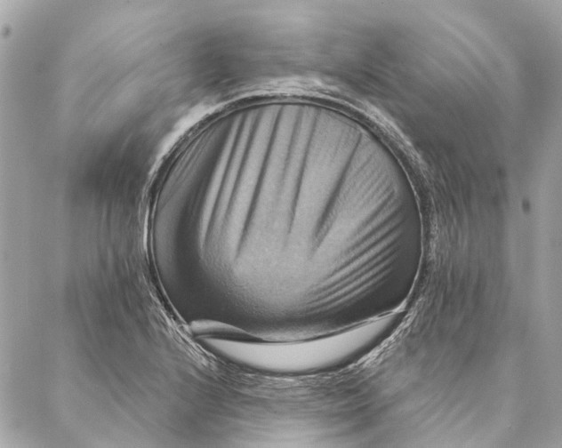 X0000087351224200705111611