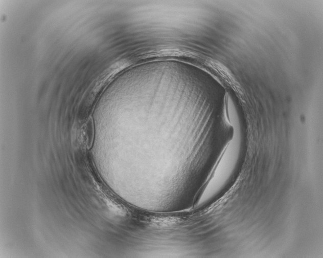 X0000087351225200705111611