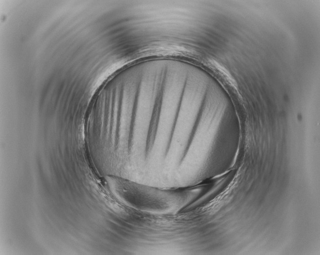 X0000087351226200705111611