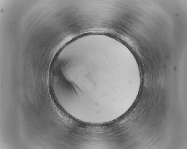 X0000087351229200705111612