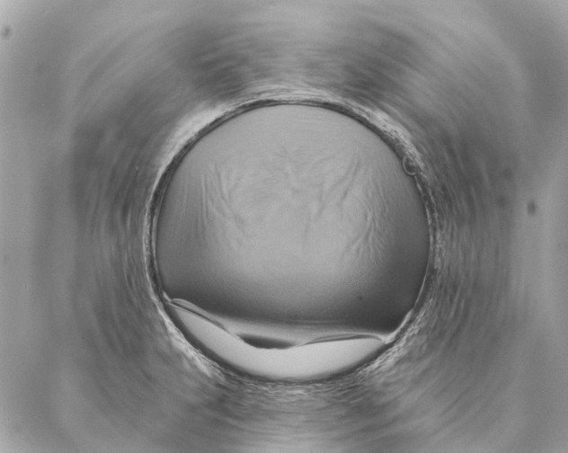 X0000087351231200705111612