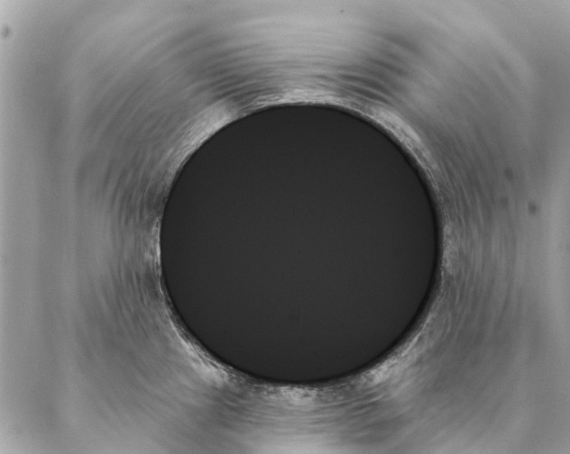 X0000087351241200705111612