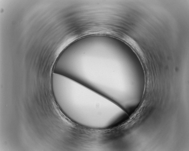 X0000087351242200705111612