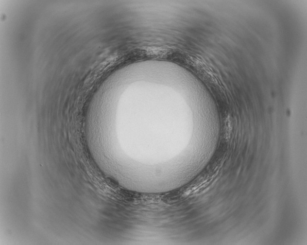 X0000087351249200705111611