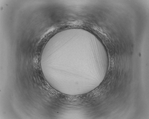 X0000087351254200705111611