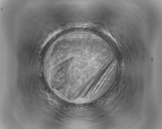 X0000087351256200705111611
