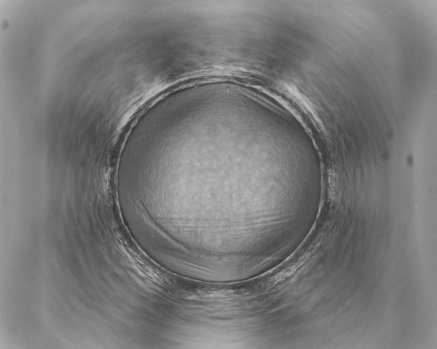 X0000087351260200705111611