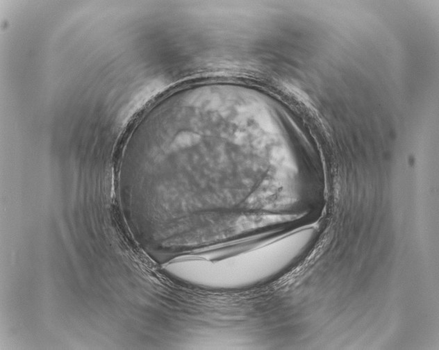 X0000087351267200705111611