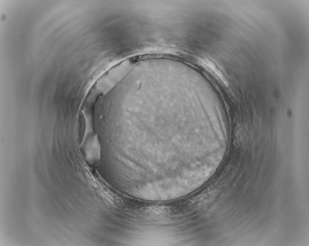 X0000087351268200705111611