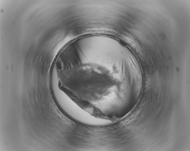 X0000087351275200705111611
