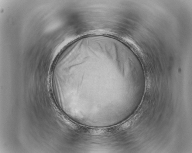 X0000087351278200705111611
