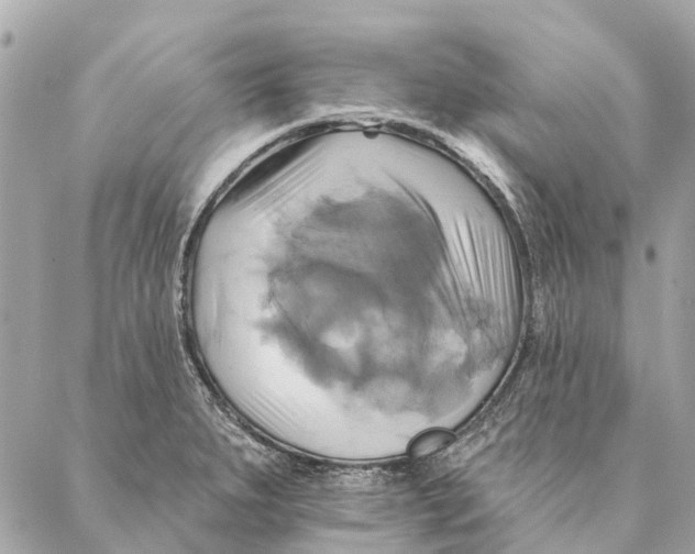 X0000087351279200705111611